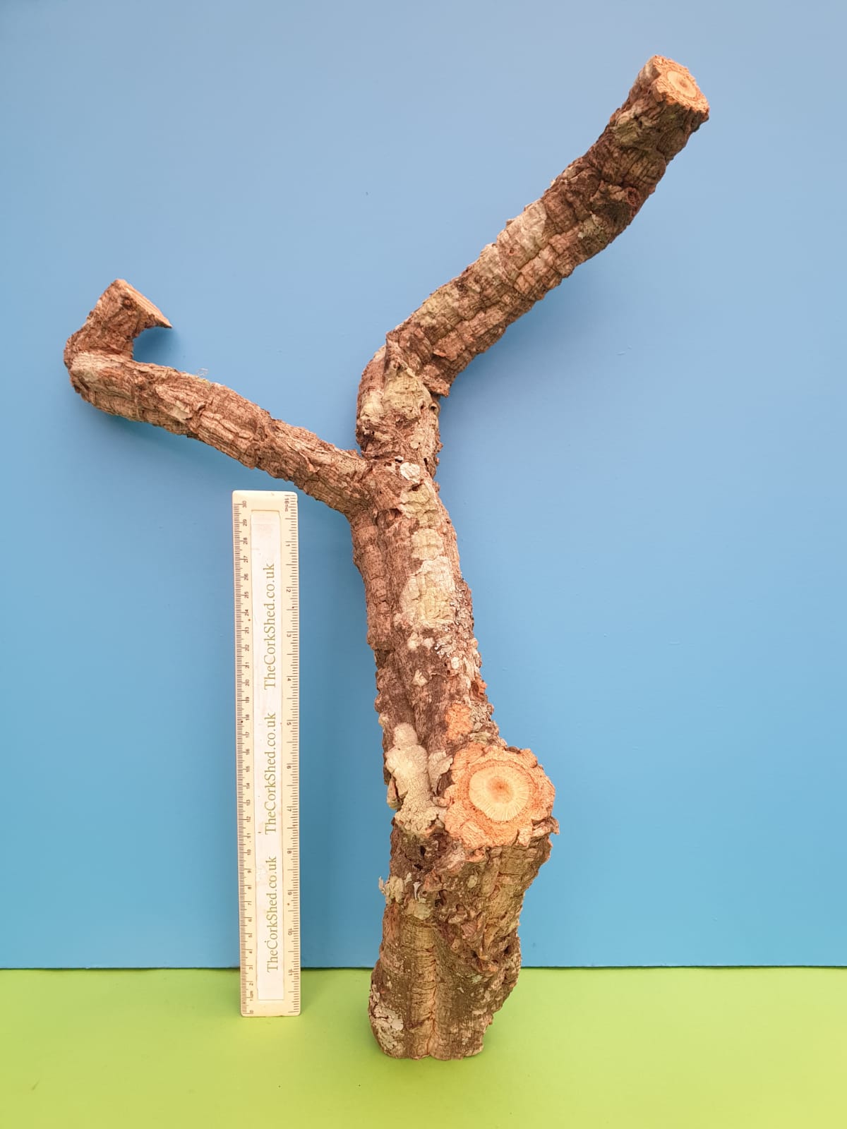 Cork Branches